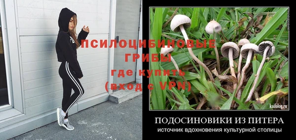 скорость Абинск